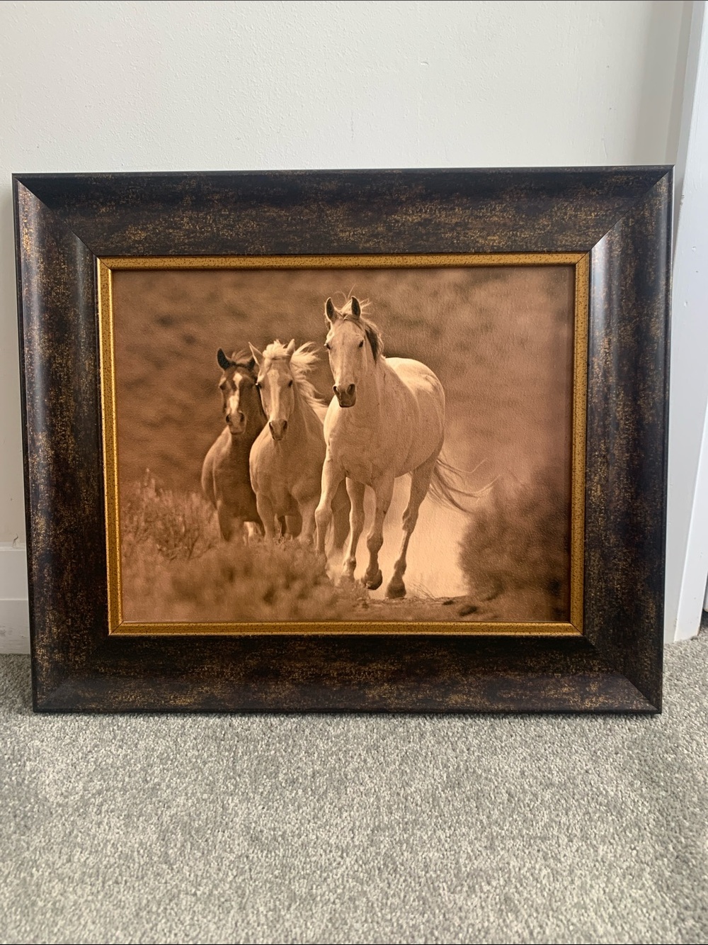 Framed Horses Photography Wall Art